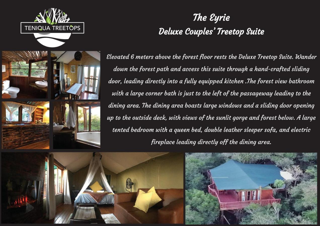Teniqua Treetops Karatara Settlement Extérieur photo