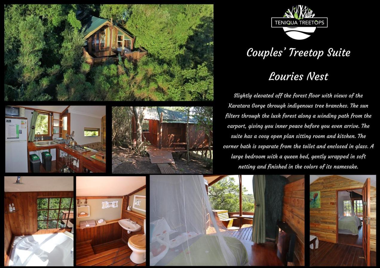 Teniqua Treetops Karatara Settlement Extérieur photo