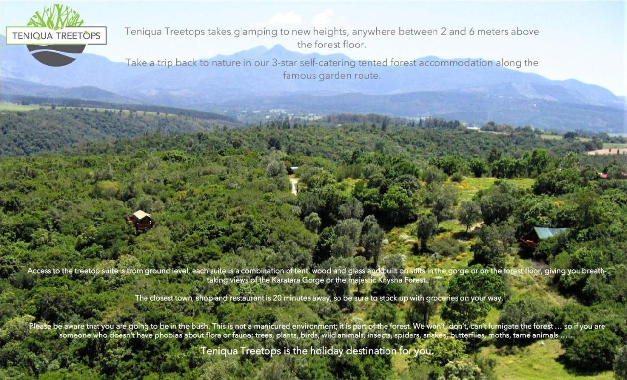 Teniqua Treetops Karatara Settlement Extérieur photo