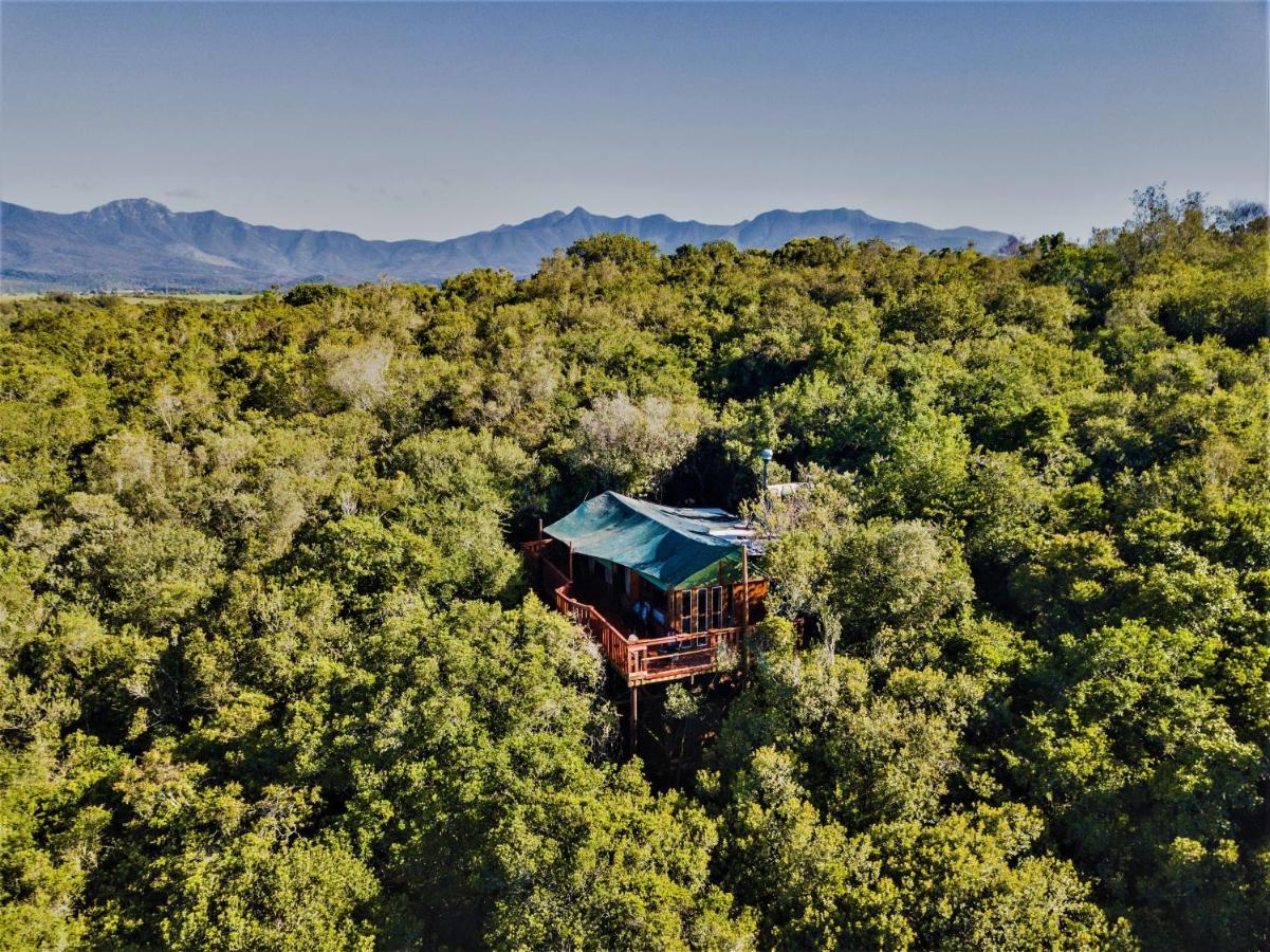 Teniqua Treetops Karatara Settlement Extérieur photo