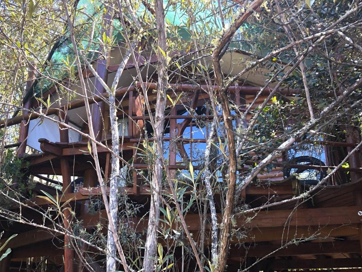 Teniqua Treetops Karatara Settlement Extérieur photo