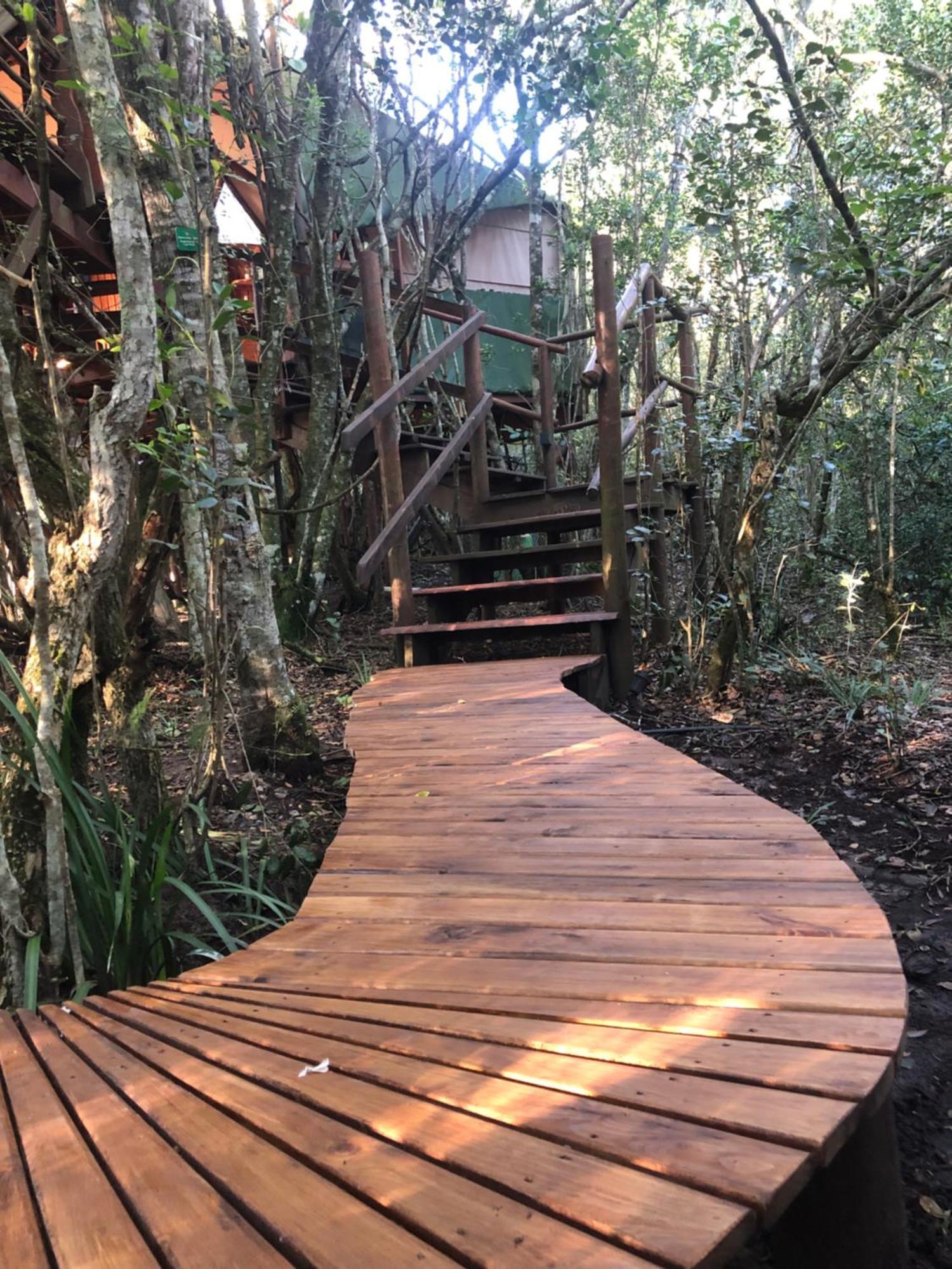 Teniqua Treetops Karatara Settlement Extérieur photo