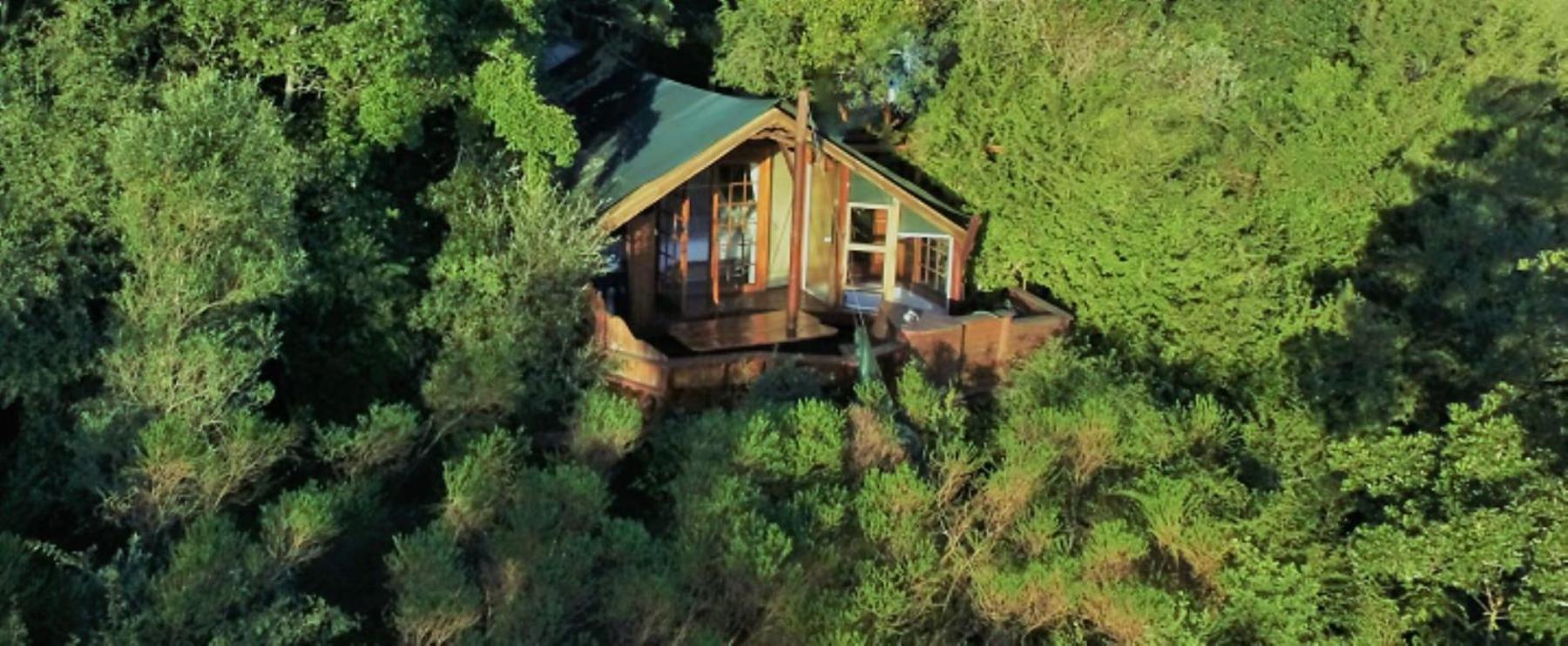 Teniqua Treetops Karatara Settlement Extérieur photo