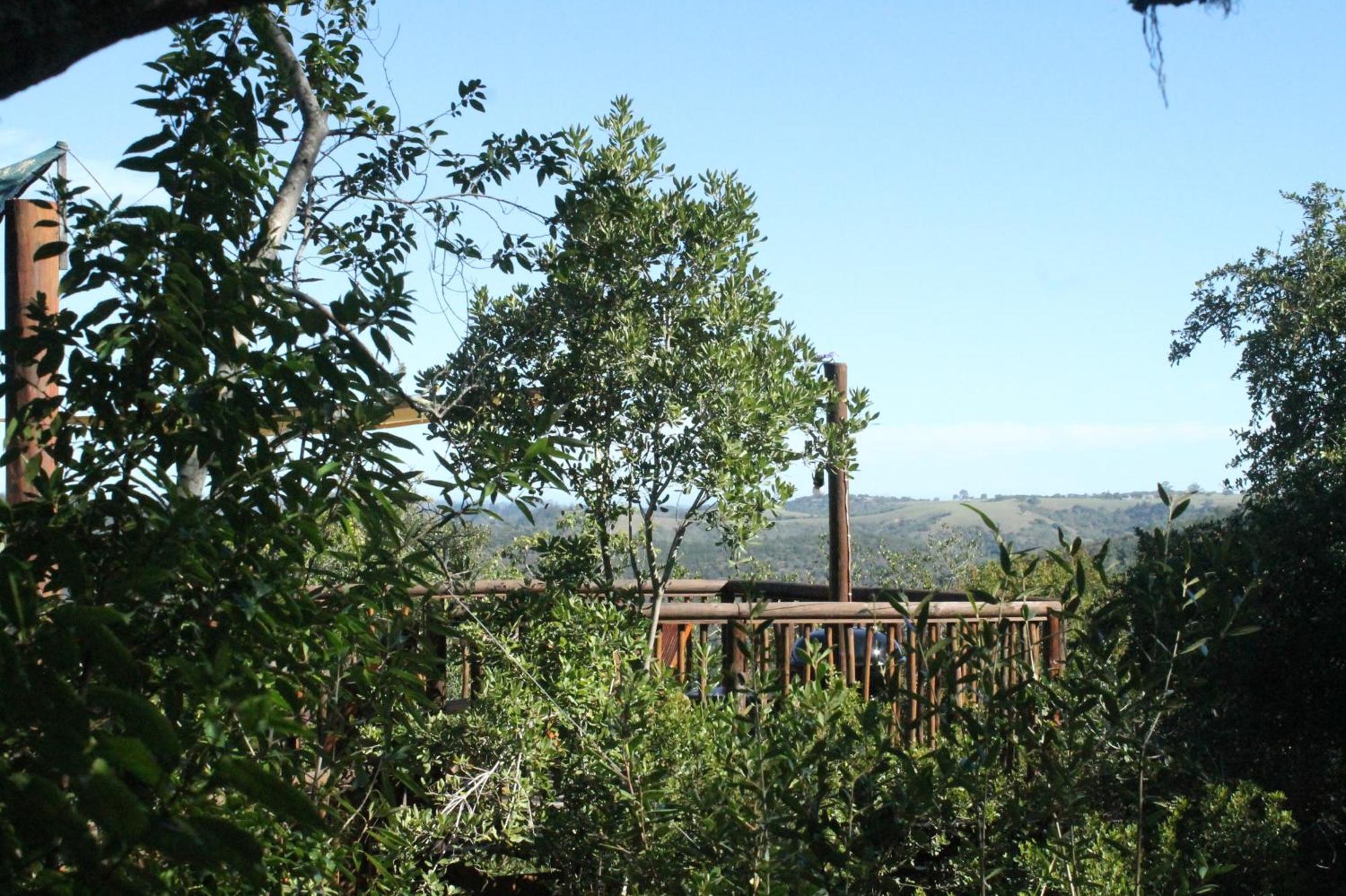 Teniqua Treetops Karatara Settlement Extérieur photo
