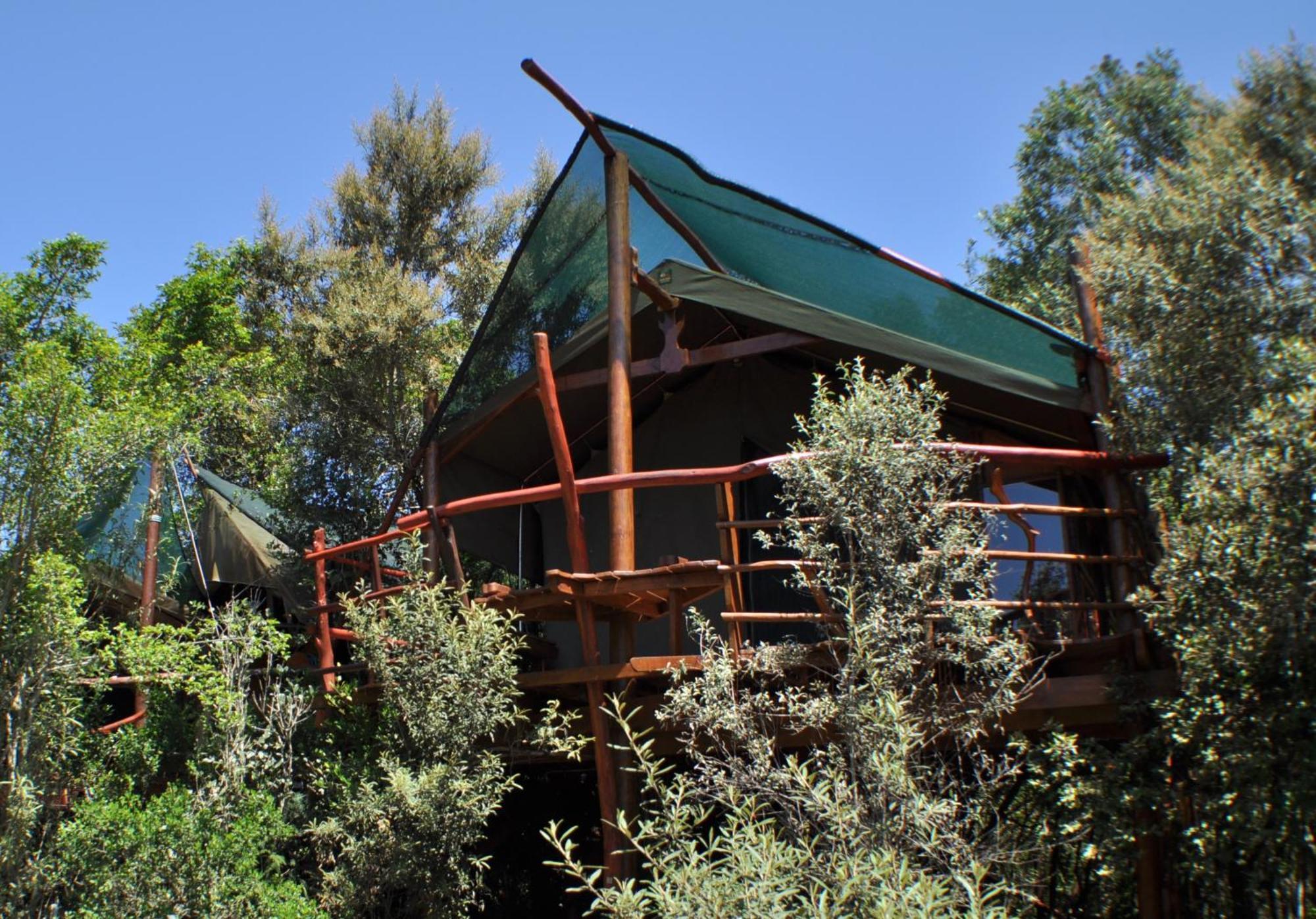 Teniqua Treetops Karatara Settlement Extérieur photo