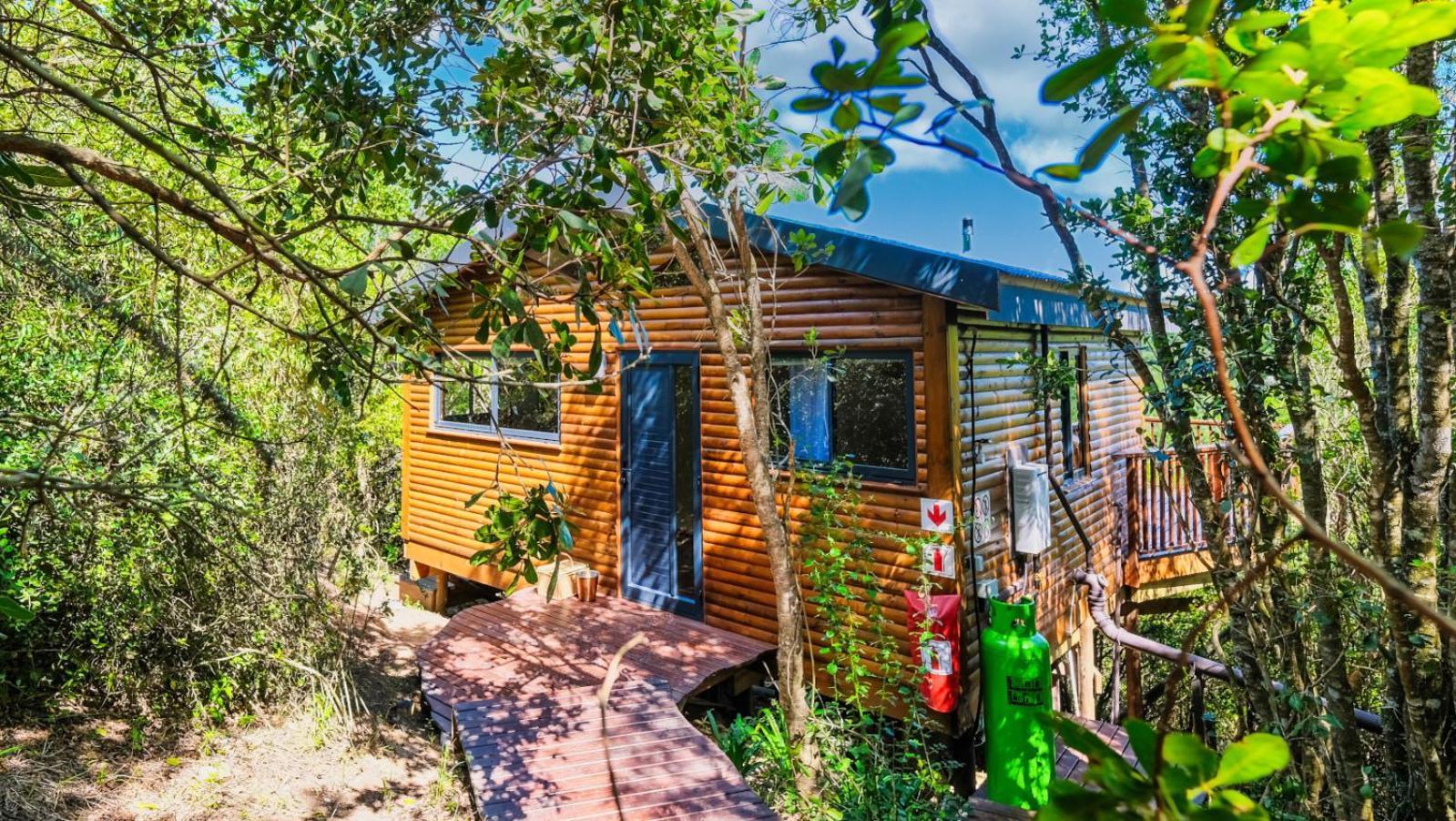Teniqua Treetops Karatara Settlement Chambre photo