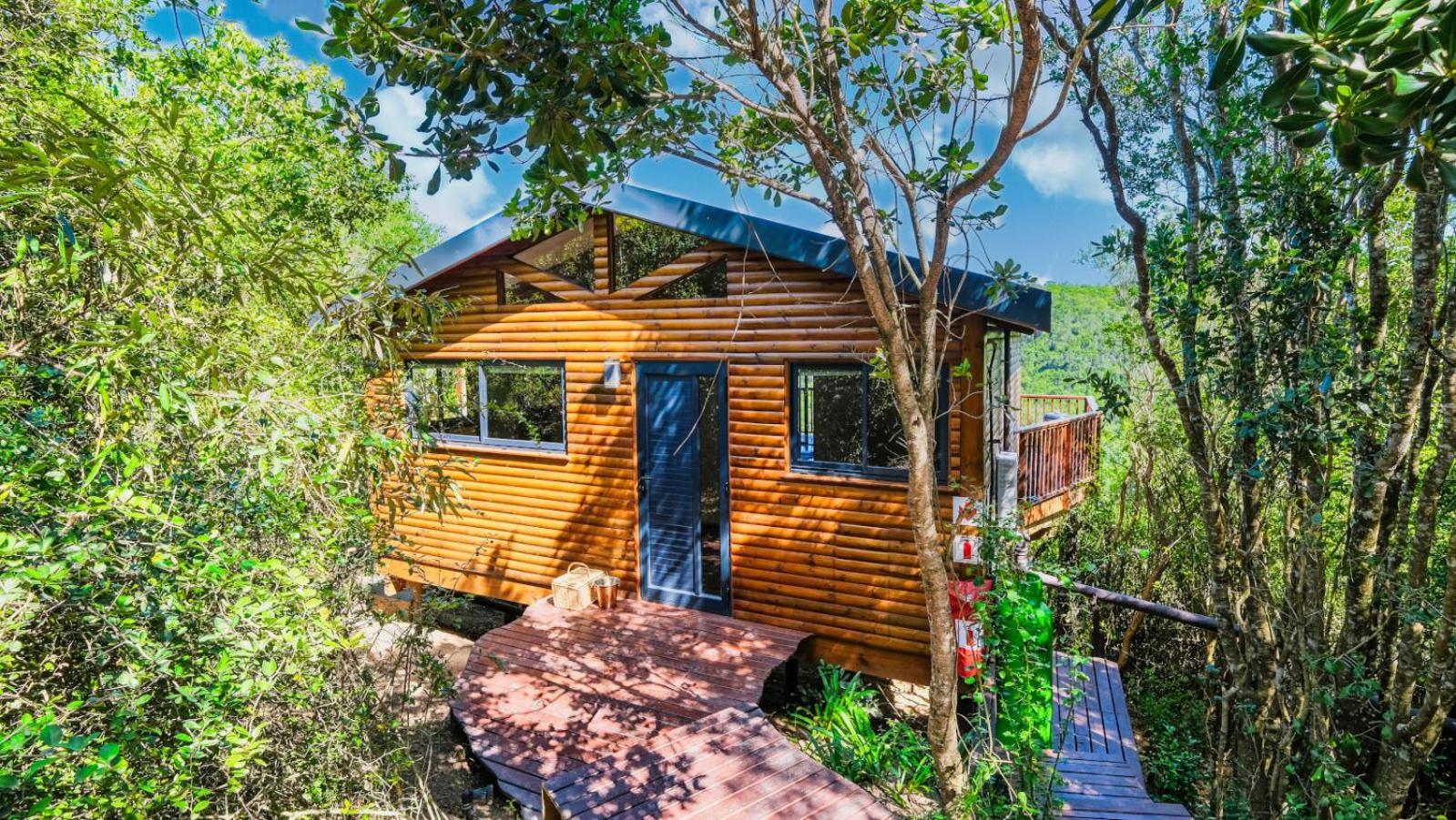 Teniqua Treetops Karatara Settlement Chambre photo