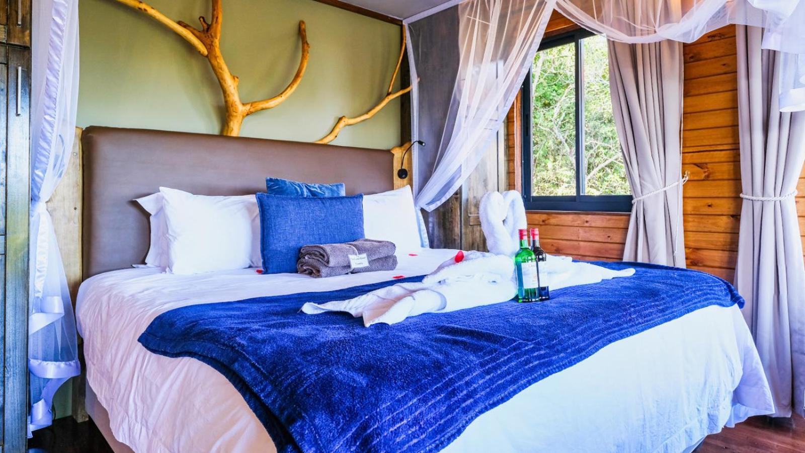 Teniqua Treetops Karatara Settlement Chambre photo