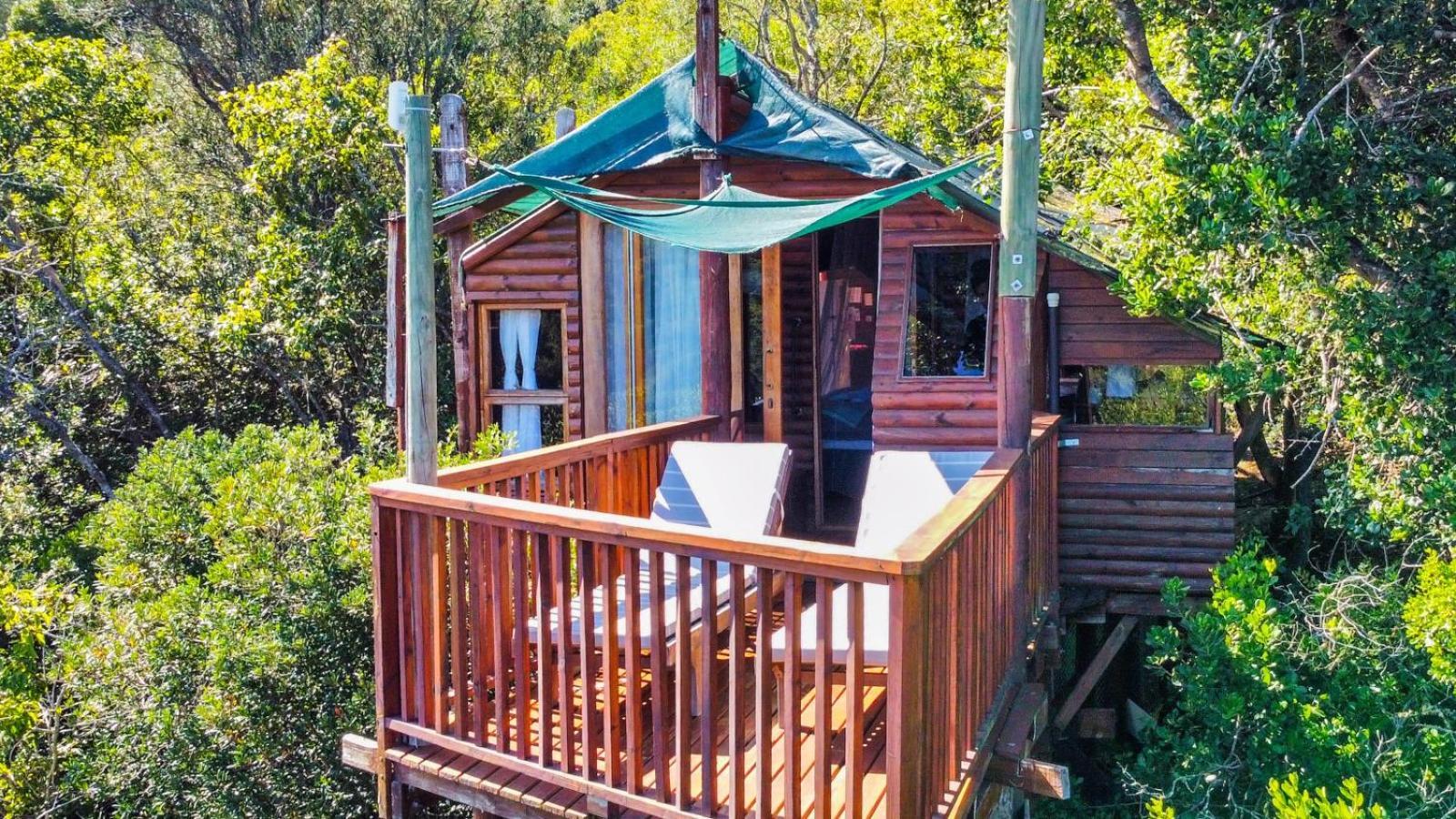 Teniqua Treetops Karatara Settlement Chambre photo