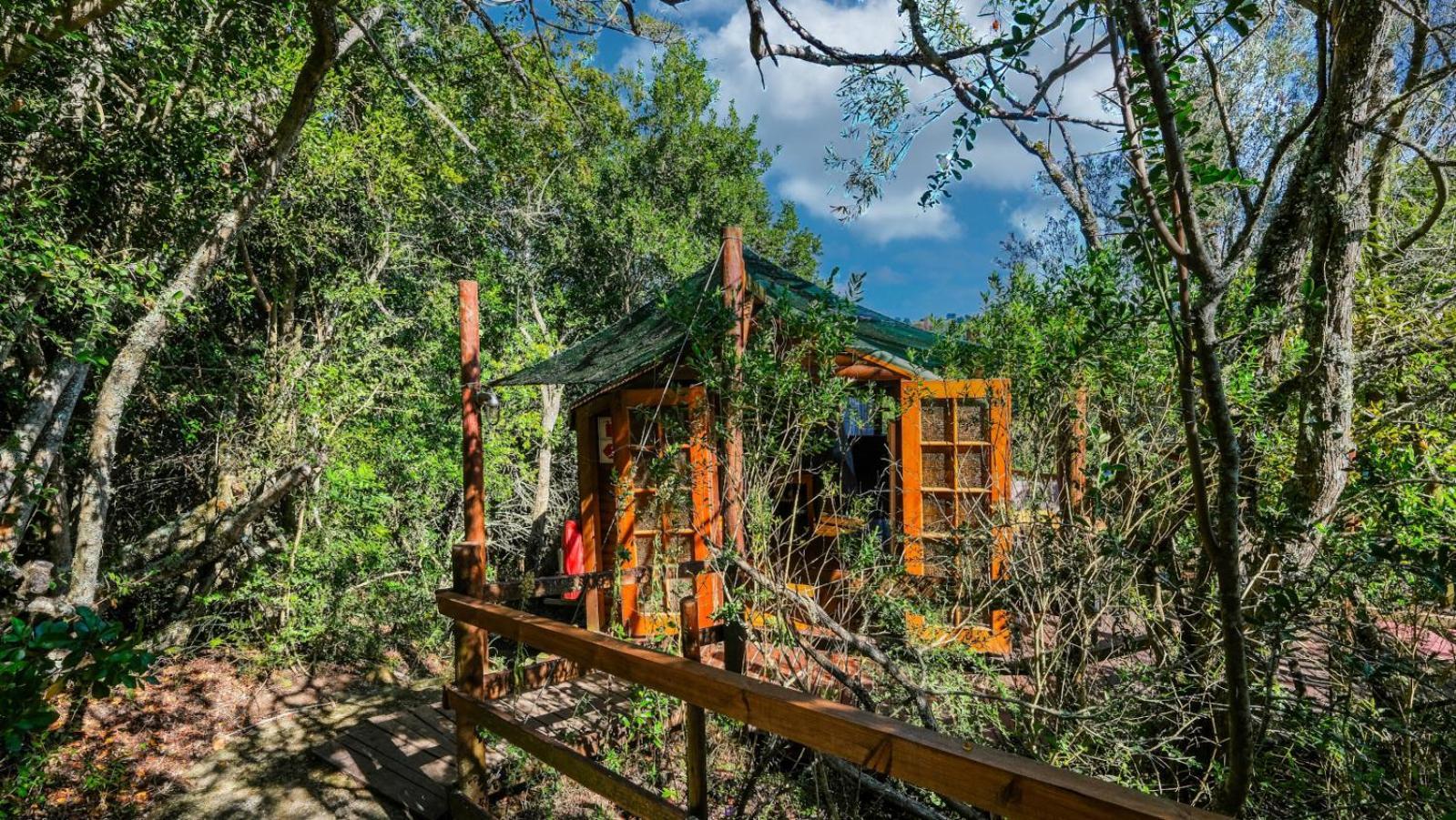 Teniqua Treetops Karatara Settlement Chambre photo