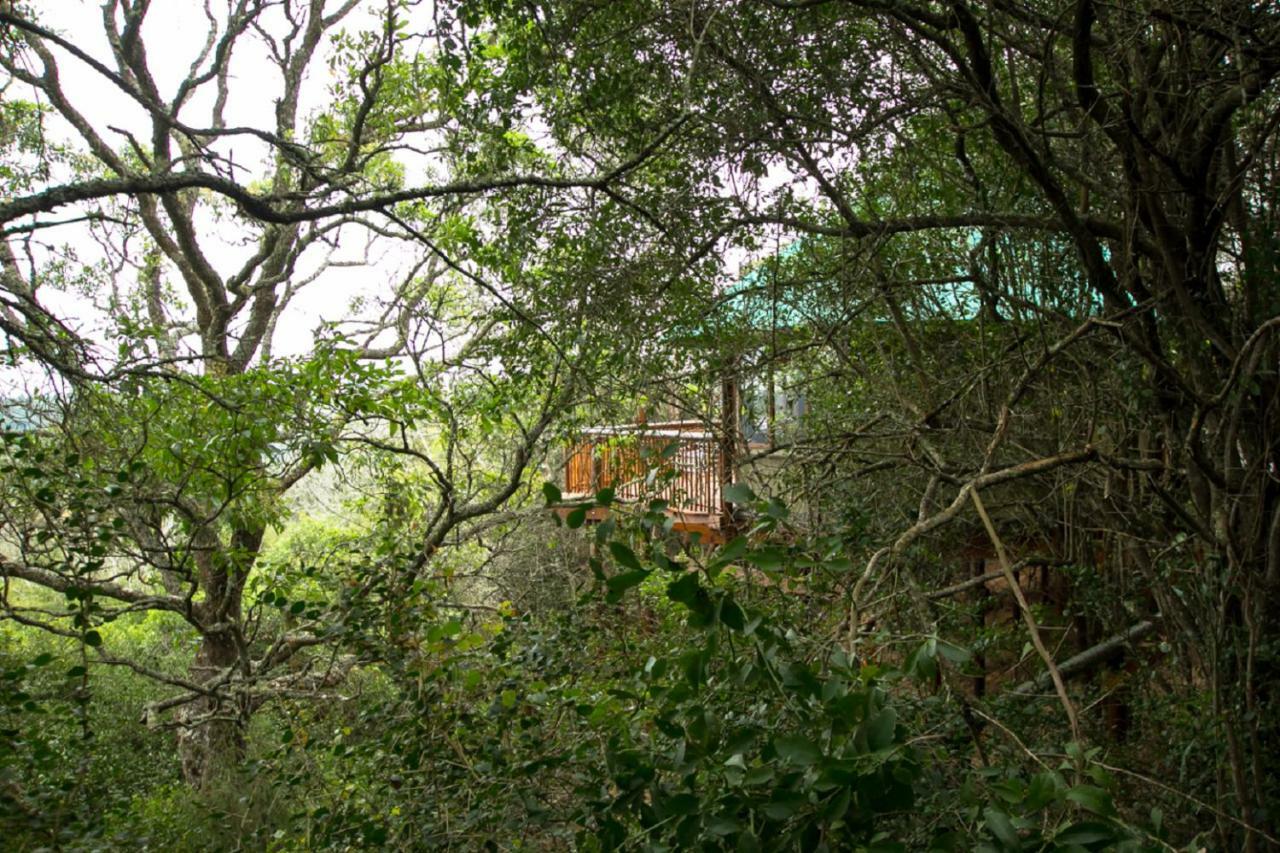 Teniqua Treetops Karatara Settlement Extérieur photo