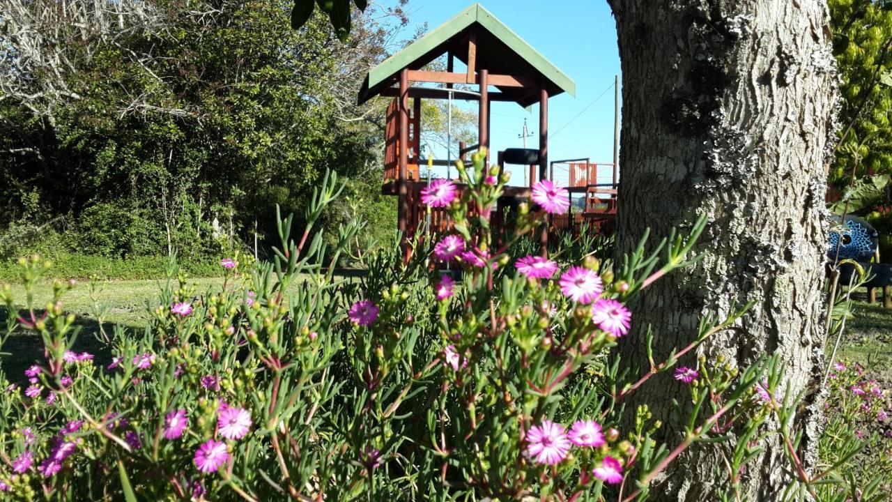 Teniqua Treetops Karatara Settlement Extérieur photo